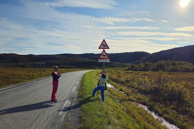 Arctic Wildlife and Fjord Sightseeing - Coffee and a look at Bryggejentene