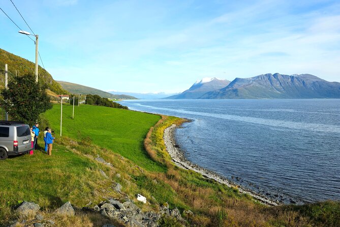 Arctic Wildlife and Fjord Sightseeing - Sandneshamn and the road toward Sommarøy