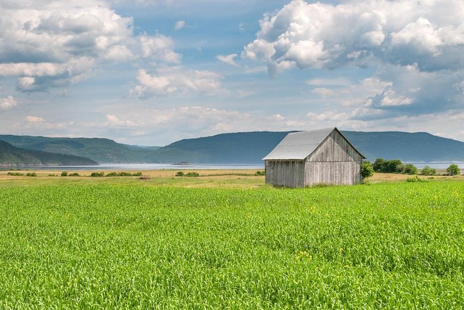 Back Country of the Fjord and the National Park - How much walking and riding should you expect?