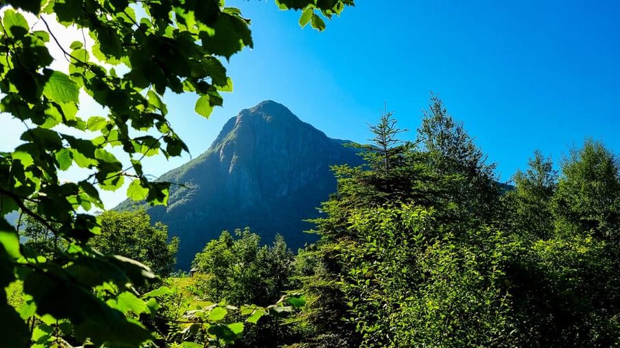 Bergen: Cruise to beautiful Rosendal by the Hardangerfjord - What the return journey adds