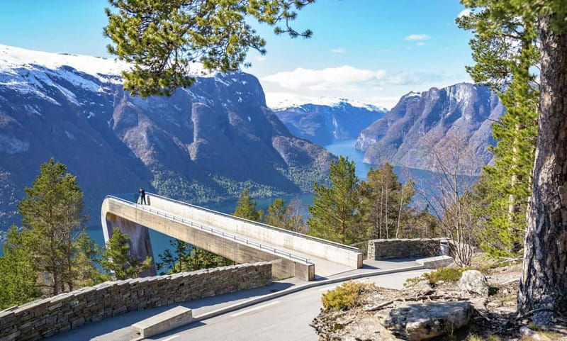 Bergen: Flam Railway, Viking Village Tour with Fjord Cruise - Myrdal and the famous Flåm Railway