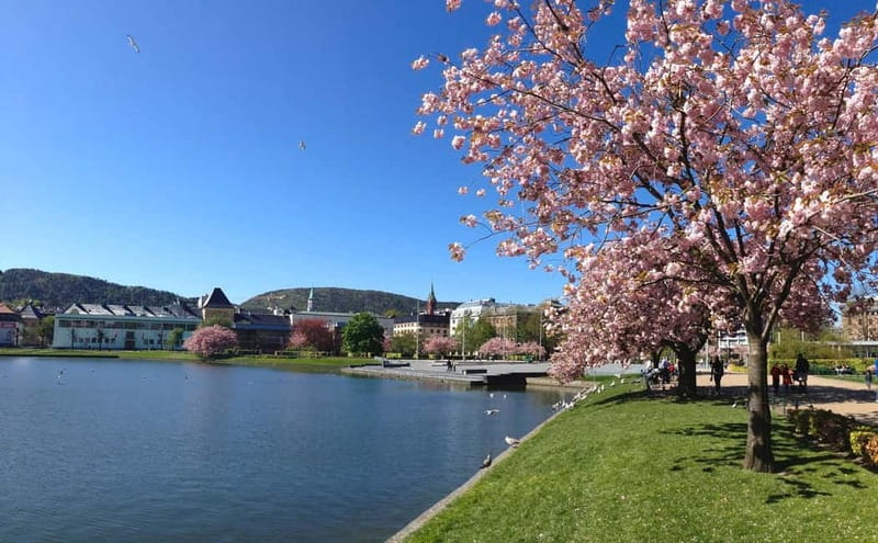 Bergen: Flam Railway, Viking Village Tour with Fjord Cruise - Is $955 per person a fair value?