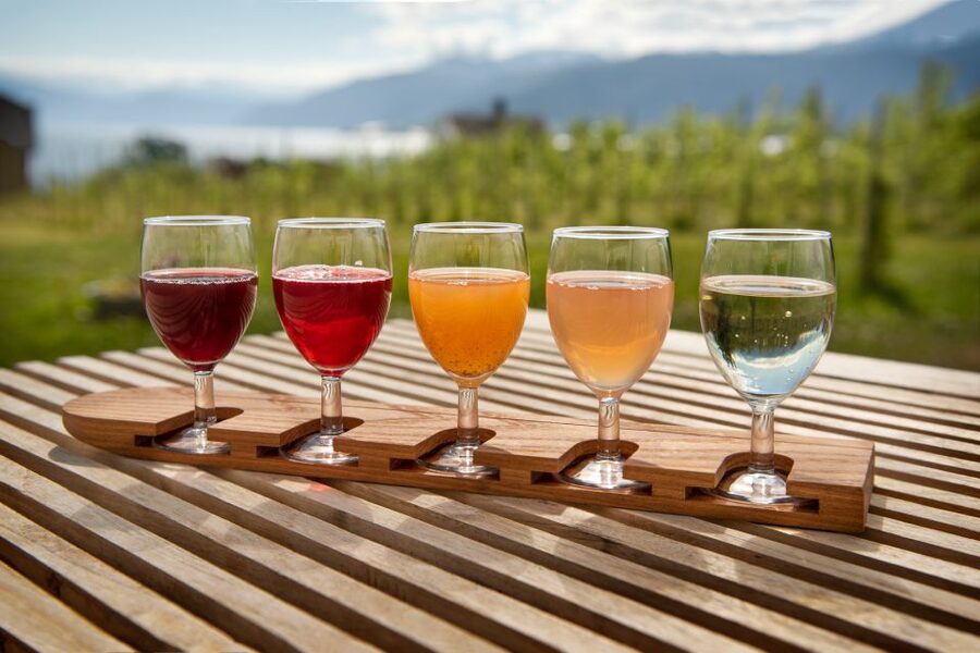 Bergen: Guided Fjord & Cidery Tour to Balestrand - Storesvingen Viewpoint and the value of a planned stop