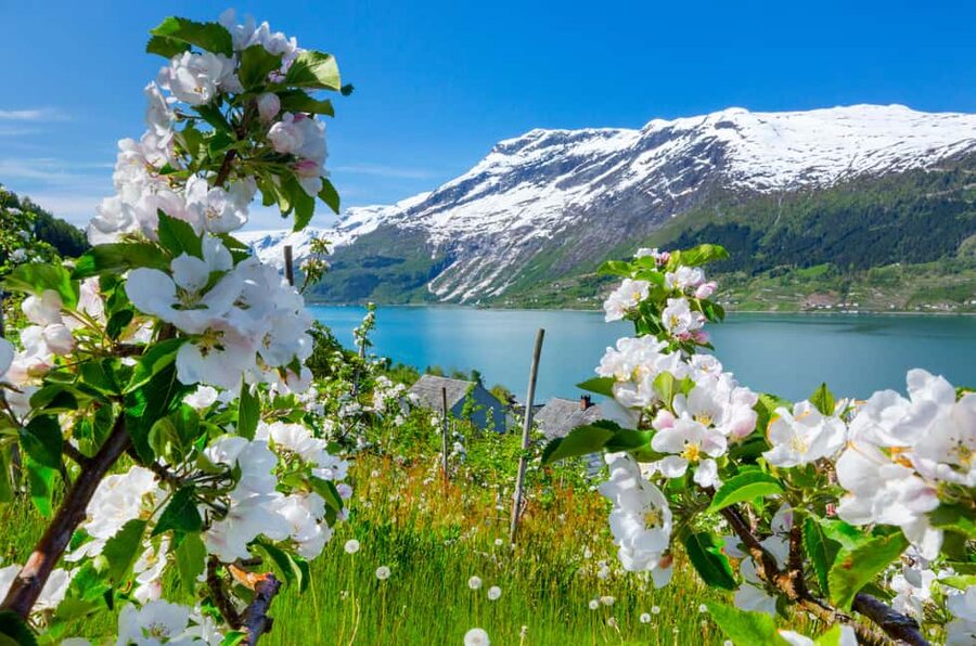 Bergen: Hardangerfjord & Waterfalls Bus Tour with Apple Pie - Key points to know before booking