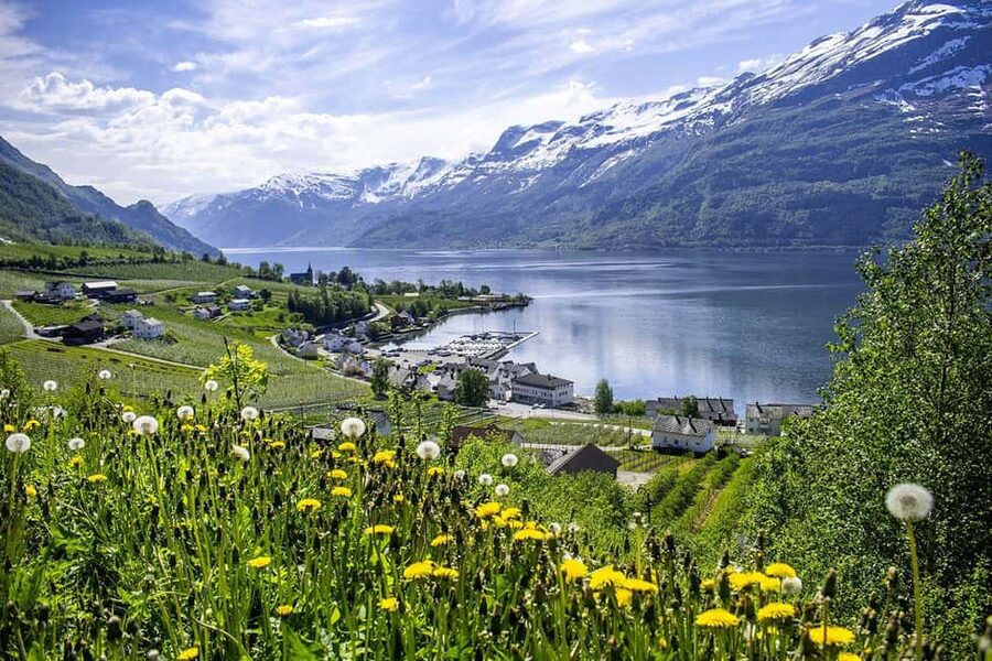 Bergen: Hardangerfjord & Waterfalls Bus Tour with Apple Pie - Is $157 a fair price?
