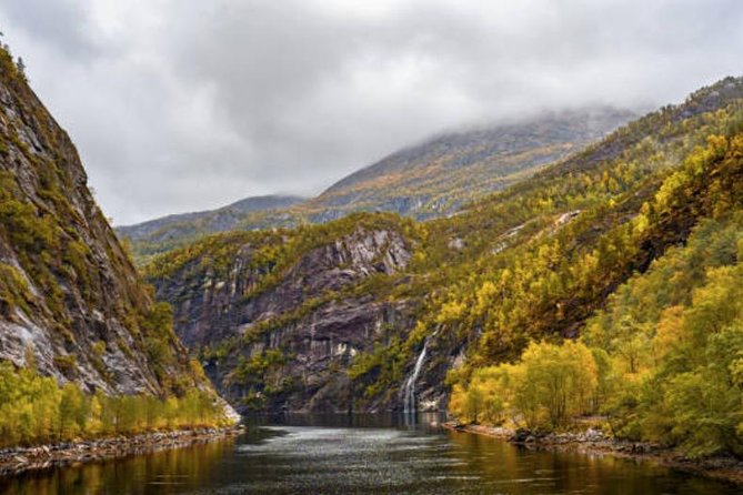 Bergen: Mostraumen Fjord Cruise - Is $150.20 a fair price?