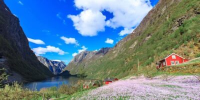 Bergen: Nærøyfjorden, Flåm, and Stegastein Guided Bus Tour