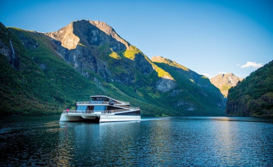 Bergen: Private Day Tour, Nærøyfjord Cruise and Flåm Railway - Returning through Voss and the Bergen Railway