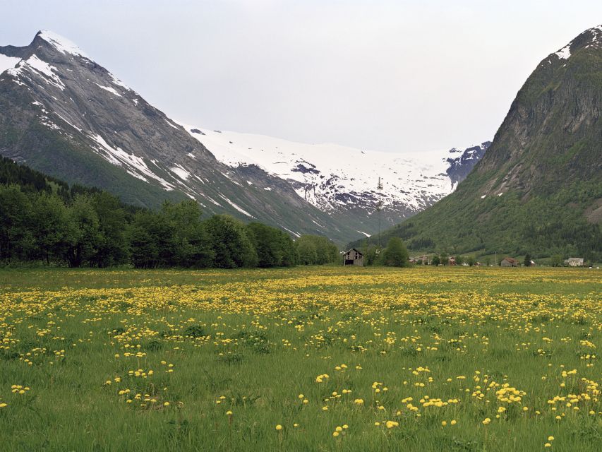 Bergen: Self-Guided Trip to Oslo with Sognefjord cruise (5h) - The mountain route toward Flåm