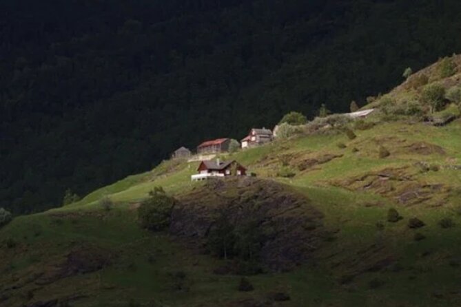 Bergen to Flam "The King of Fjords" One-Way or Round-Trip Cruise Ticket - Is the $185.31 price good value?