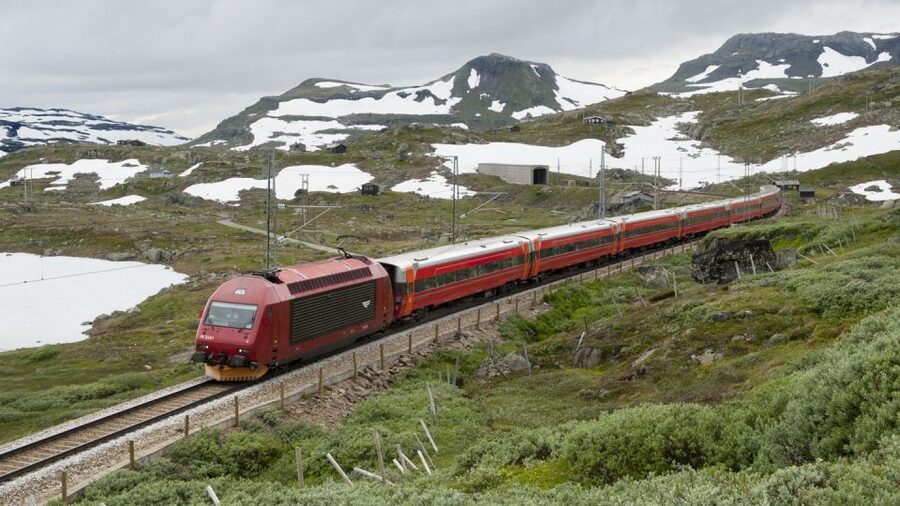 Bergen to Oslo: Private Nærøyfjord Cruise and Flåm Railway - Cruising the narrow Nærøyfjord