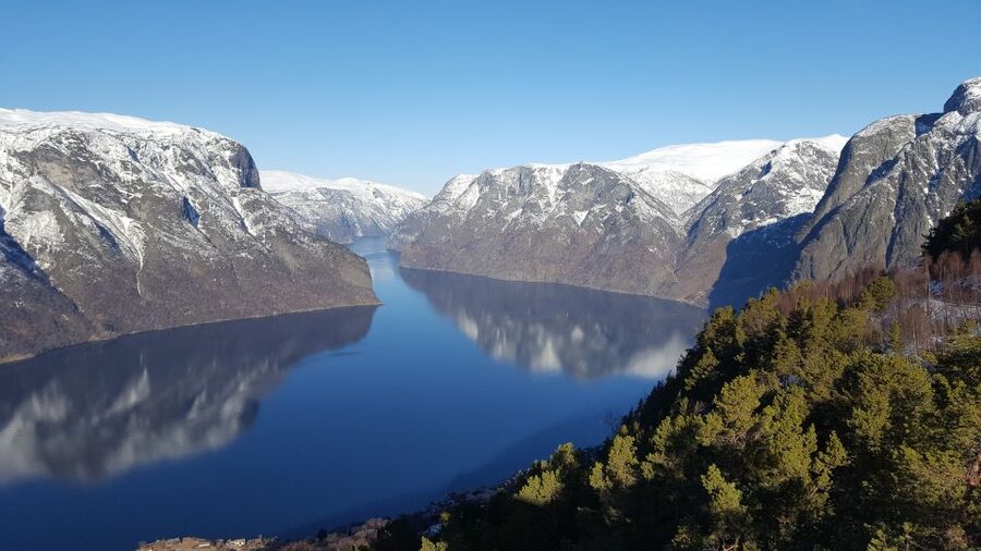 Bergen: Viking Village, Nærøyfjord Cruise & Flåm Railway - Who should book this day tour?