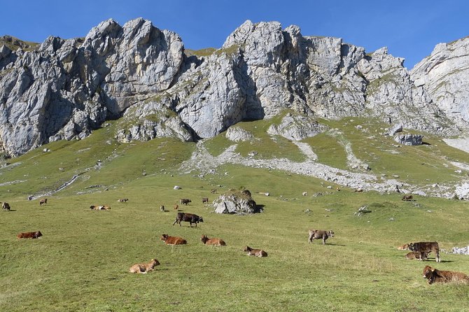 Best of the Uri Alps: A fjord-like lake, glorious peaks and sustainable tourism - Aerial gondolas are part of the attraction