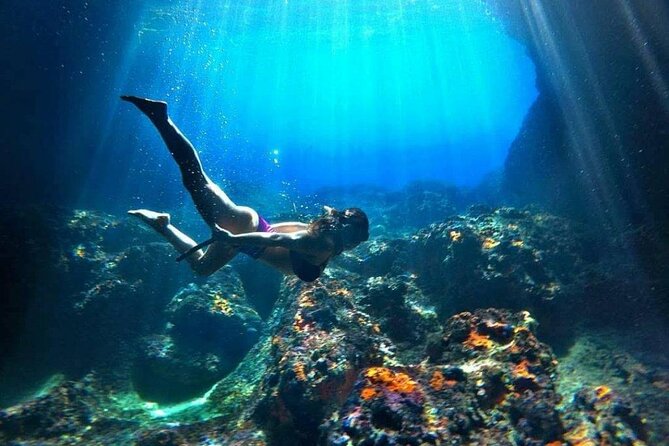 Blue Cave and Kotor Bay Luxurious Cruise Tour 3H+ - Key points to know before you book