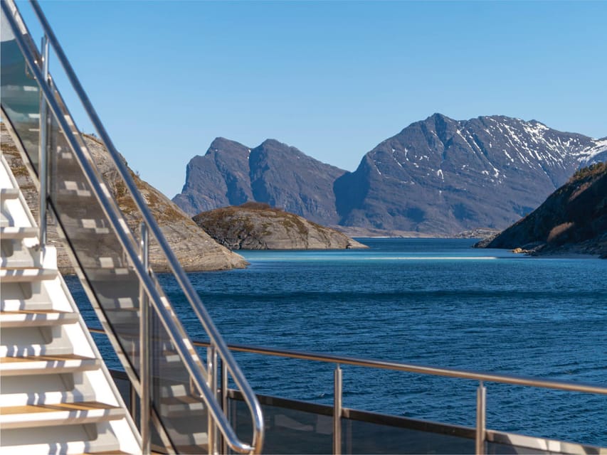 Bodø: Beiar Fjord & Saltstraument Cruise - Why this cruise works well in winter