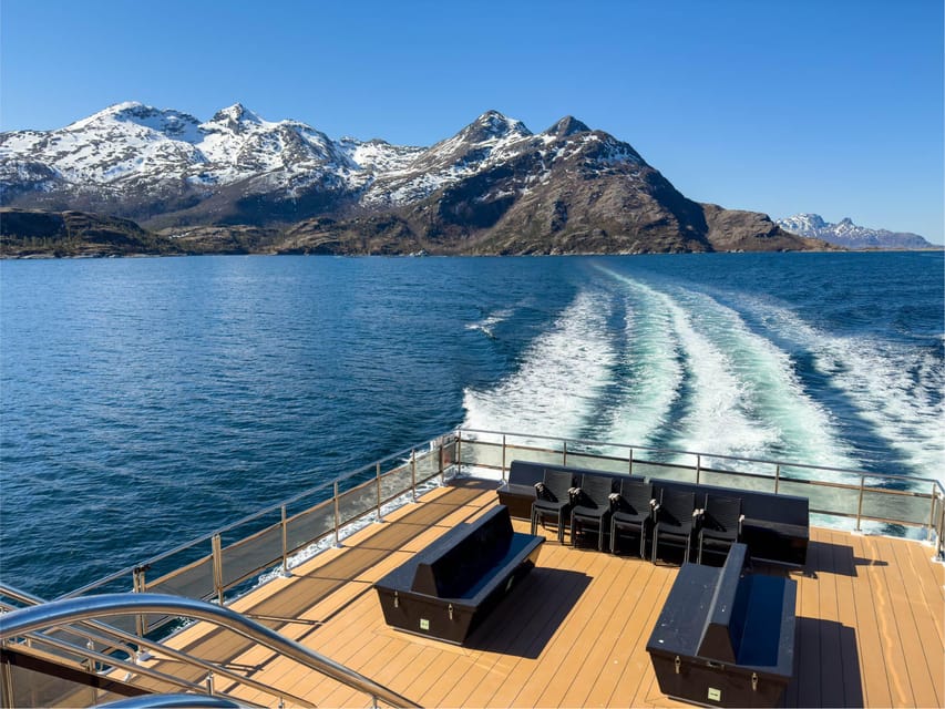 Bodø: Beiar Fjord & Saltstraument Cruise - Wildlife and local stories add purpose to the view