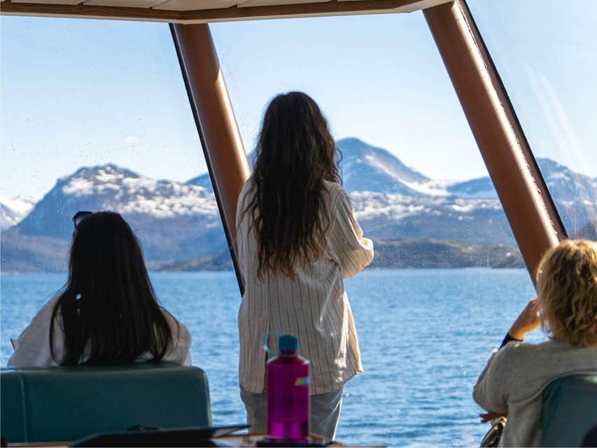 Bodø: Beiar Fjord & Saltstraument Cruise - Is $103 a fair price for four hours?