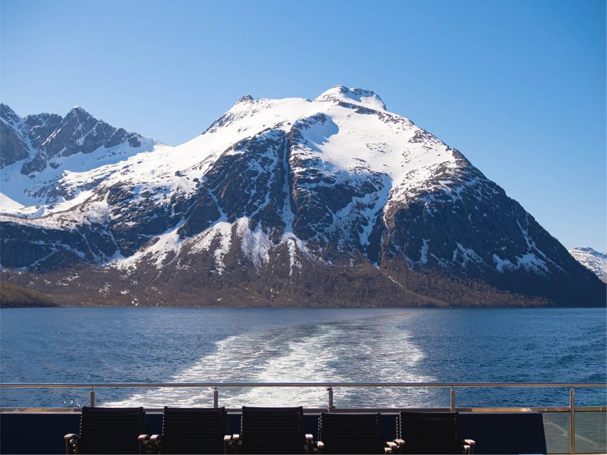 Bodø: Beiar Fjord & Saltstraument Cruise - Saltstraumen gives the cruise a natural highlight