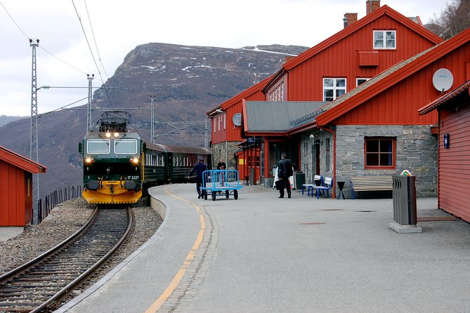 Cruise Special: Private Trip To Canyons And Waterfalls With Flåm Railway - Stegastein gives you the first big fjord view