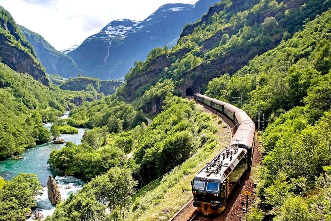 Cruise Special: Private Trip To Canyons And Waterfalls With Flåm Railway - A private minivan changes the feel of the day