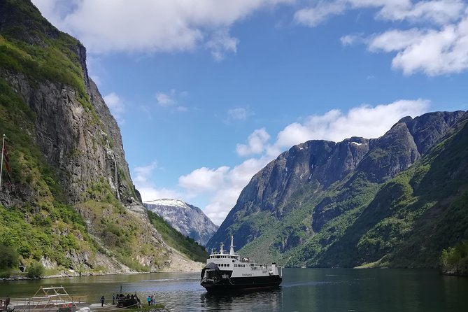 Cruise Special: Private Trip To Canyons And Waterfalls With Flåm Railway - Is $907.03 per person reasonable?