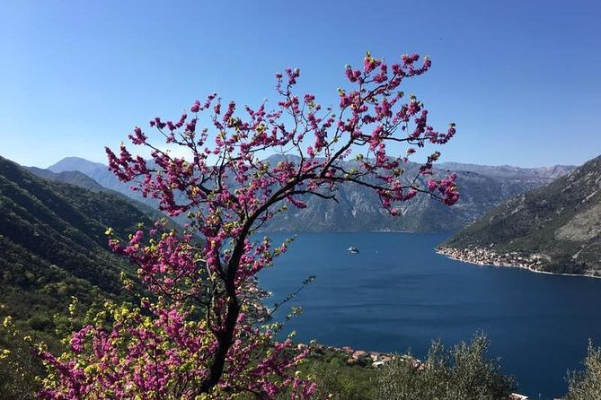 Cycling and hiking short tour through the bay of Kotor - Returning to the water for a swim