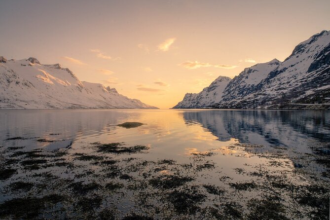 Discover the Fjords of Kvaloya - a roadtrip along fjords and fishing villages - Ersfjordbotn and the warm lunch break