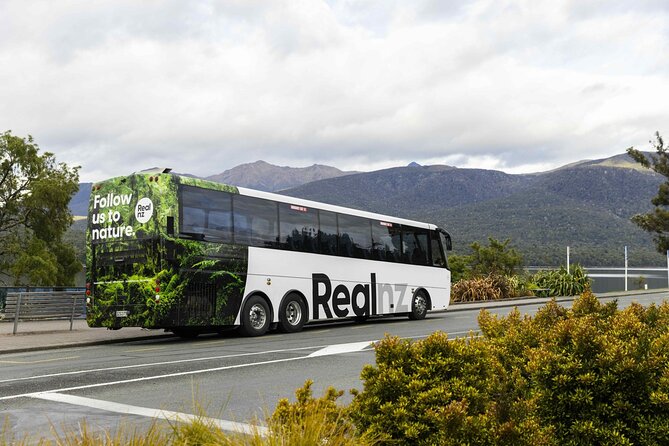 Doubtful Sound Wilderness Cruise from Queenstown - Who should choose this Queenstown day trip?