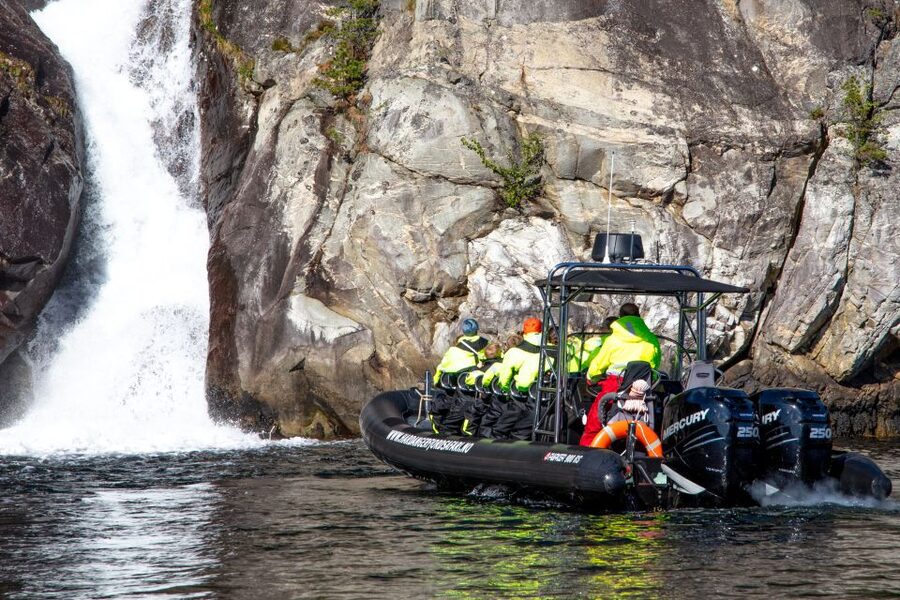Eidfjord: 1-Hour Fjord RIB Tour - Wildlife spotting on the fjord