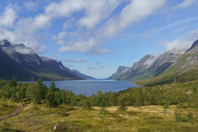 Express Fjord Road trip with Cruise Ship Pick up and Drop off - Why Ersfjordbotn makes a good short outing