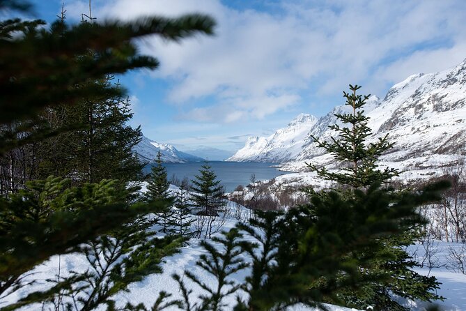 Express Fjord Road trip with Cruise Ship Pick up and Drop off - Guides Anna and Aneta shape the experience
