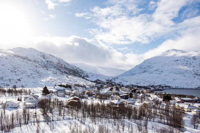 Express Fjord Road trip with Cruise Ship Pick up and Drop off - Is $123.78 a fair price?