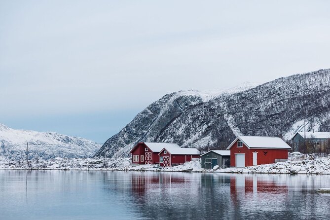 Express Fjord Road trip with Cruise Ship Pick up and Drop off - Final verdict: a smart short fjord trip