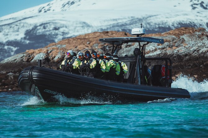 Fjord and Sea Eagle Safari from Sortland - What the two to three hours feel like