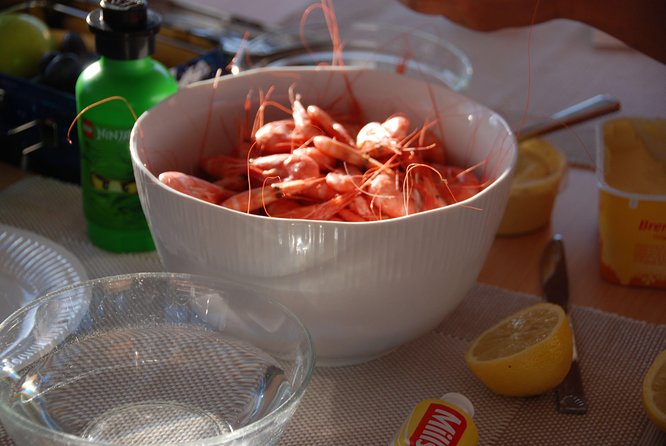 Fjord Cruise with Luxury Catamaran in Tromso - A fjord cruise with a fishing heart