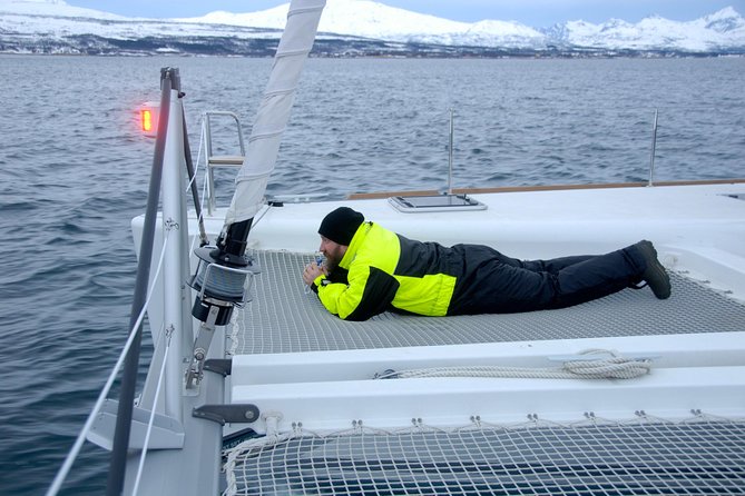 Fjord Cruise with Luxury Catamaran in Tromso - Why the onboard soup matters