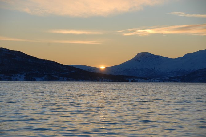 Fjord Cruise with Luxury Catamaran in Tromso - Who should book this cruise?