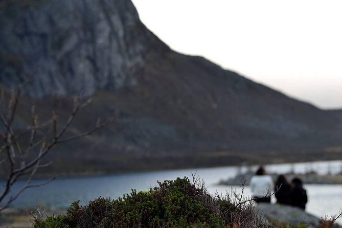 Fjord Expedition: Arctic Adventure Awaits - Wildlife is possible, but scenery is the sure bet