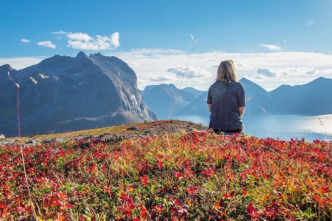 Fjord Expedition: Arctic Adventure Awaits - What the $145.76 price really buys you