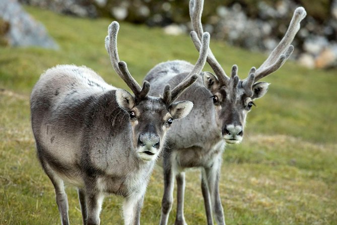 Fjord Expedition: Arctic Adventure Awaits - The weather question you should take seriously