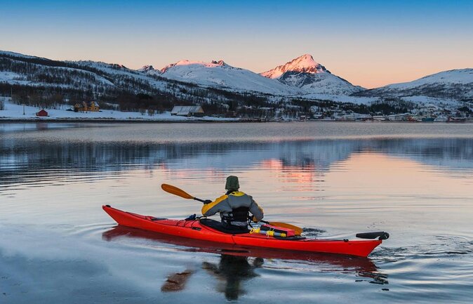 Fjord & History Cruise - Key points to know before booking