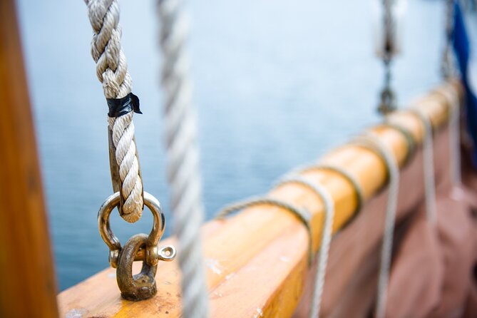 Fjord & History Cruise - Fjords, islands, and possible wildlife