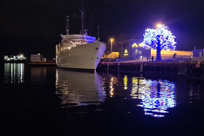 Fjord Houseboat Cruise in Oslo. 100 % electric. BYO - The marina stop and Oslo’s waterside social scene