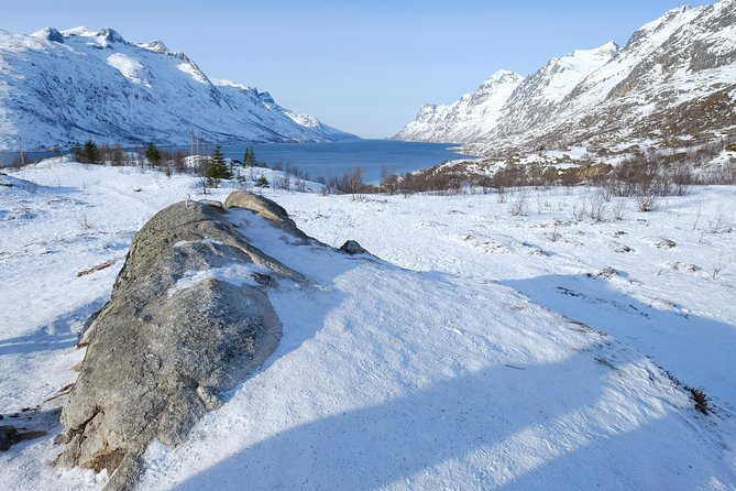 Fjord, Mountain and Wildlife Tour - Leaving Tromsø for Kvaløysletta