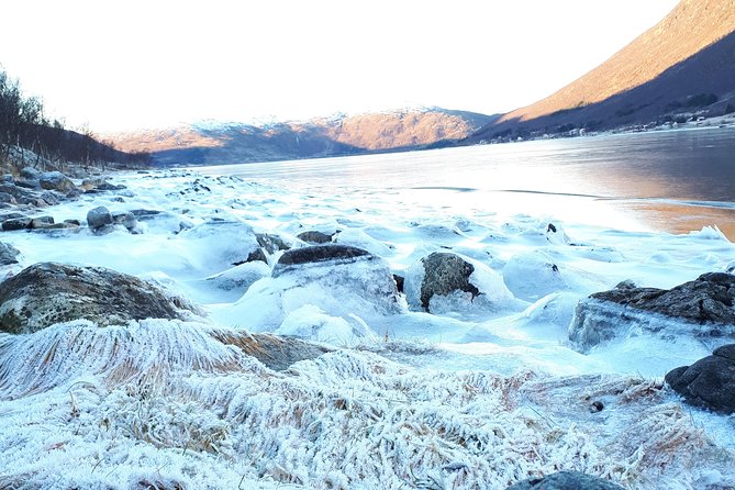 Fjord, Mountain and Wildlife Tour - Blåmannsvika and Skjellsvika for changing views