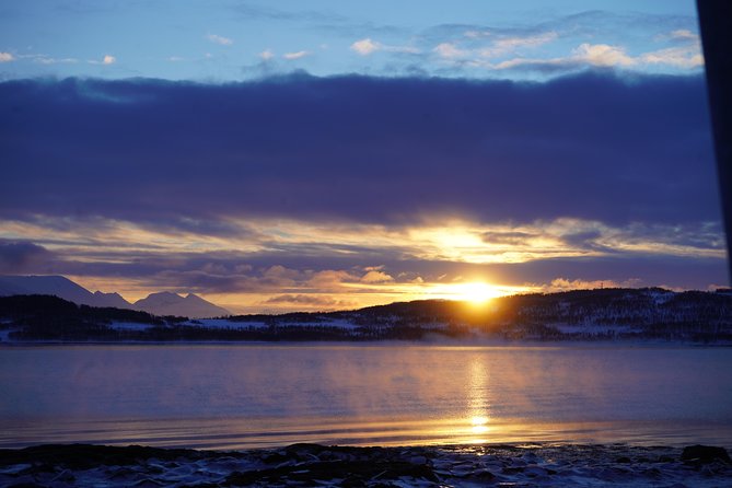 Fjord, Mountain and Wildlife Tour - Grøtfjord village and the fjord itself