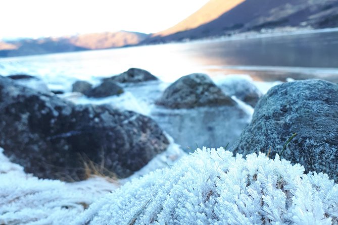 Fjord, Mountain and Wildlife Tour - Wildlife: a welcome bonus, not the main event