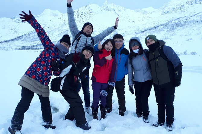 Fjord, Mountain and Wildlife Tour - The minibus, group size, and comfort