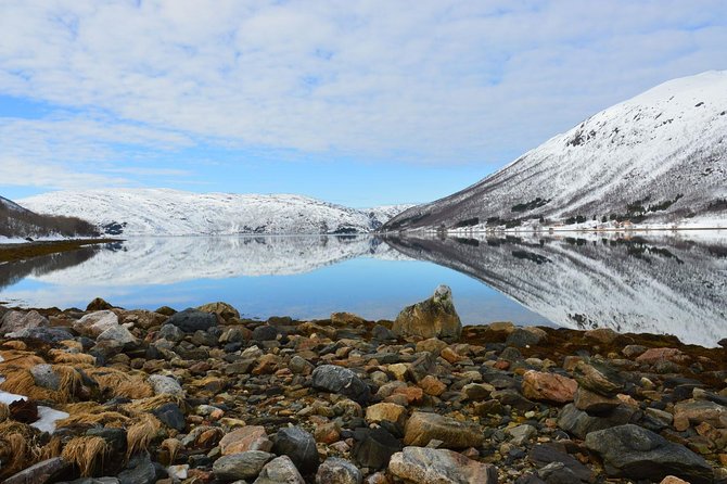 Fjord, Mountain and Wildlife Tour - Price and value at $123.78