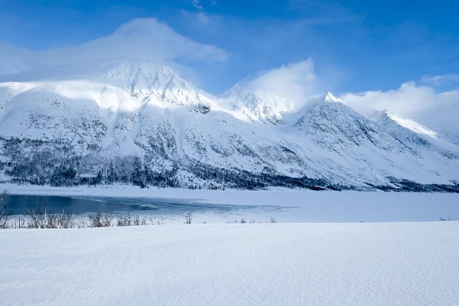 Fjord, Mountain and Wildlife Tour - Kaldfjord and Ersfjord: the main scenic payoff
